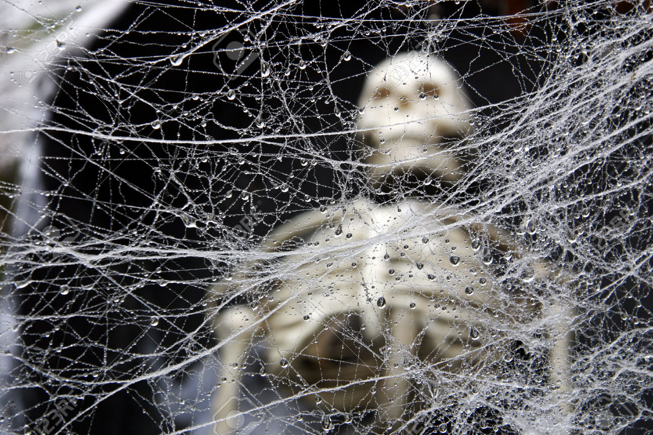 Web web with Skeleton